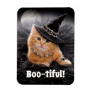 Recherche de chat halloween magnets Avanti presse
