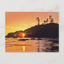 Recherche de parc aquatique cartes postales Plage