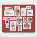 Suche nach seemuschel mousepads Muscheln