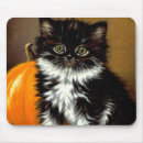 Suche nach weiße katze mousepads Tuxedo