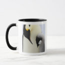Recherche de poussin mignon tasses Pingouin
