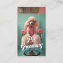Recherche de caniche cartes visite Chaise