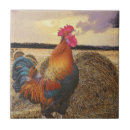 Recherche de foin carreaux Ferme