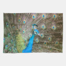 Suche nach pfau geschirr tücher Natur