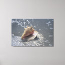 Suche nach sanibel insel florida poster Küste