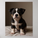 Suche nach corgi baby kinder Kinderzimmer