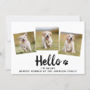 Recherche de animal familier invitations Chiot