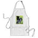 Recherche de miniature tabliers Chien