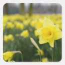 Suche nach rf aufkleber Flora