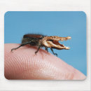 Suche nach lustiges krokodil mousepads Niedlich
