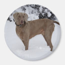 Suche nach weimaraner magnete Liebe