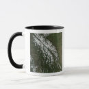 Recherche de caractéristique tasses Paysage