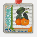 Suche nach zitrusfrucht ornamente Küche