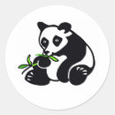 Suche nach wilder bär aufkleber Natur