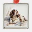 Suche nach englischer springer spaniel ornamente Hund