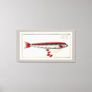 Suche nach karibische fische poster Aquarium