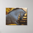 Suche nach andalusisch kunst Lusitano