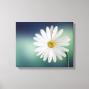 Suche nach weiße blumen leinwandbilder Blumenreich