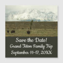 Suche nach bison einladungen Natur