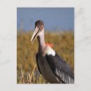 Recherche de laid cartes postales Animaux
