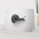 Suche nach niedliche schnecke postkarten Tier