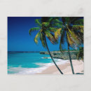 Suche nach palmenstrand poster Paradies