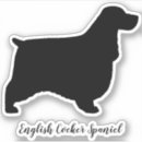 Recherche de chien cocker coques Espagne