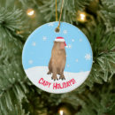 Suche nach capybara ornamente Spaß