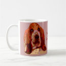 Recherche de basset tasses Hound
