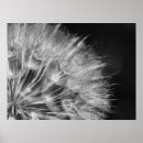 Suche nach löwenzahn kunst Blume