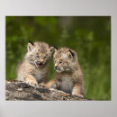Recherche de vue de face posters Dehors