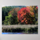Suche nach marsch poster Fotografie