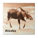 Recherche de laiterie carreaux Pour tous