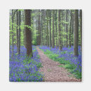 Suche nach halle magnete Wald