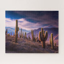 Suche nach wüste puzzle Kaktus