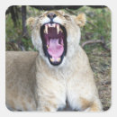 Suche nach kenya aufkleber Tierwelt