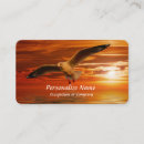 Recherche de mouettes cartes visite Vol