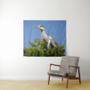 Recherche de plumage art Faune