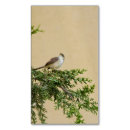 Recherche de moineau cartes visite Animaux