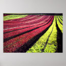 Suche nach san luis obispo poster Kalifornien