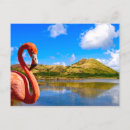 Suche nach st kitts postkarten Tropisch