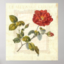 Suche nach vintage country poster Botanisch