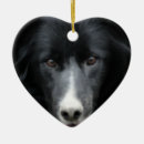 Recherche de border collie ornements Animaux familiers