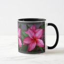 Suche nach tropen tassen Frangipani