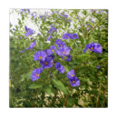 Suche nach iris blumen fliesen Blau