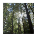 Suche nach outdoor fliesen Natur