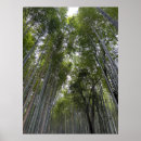Suche nach kyoto poster Bamboo