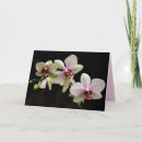 Suche nach tropische blumen karten Exotisch