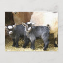Recherche de kid cartes postales Enfants
