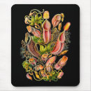 Recherche de broc de fleur Fleurs